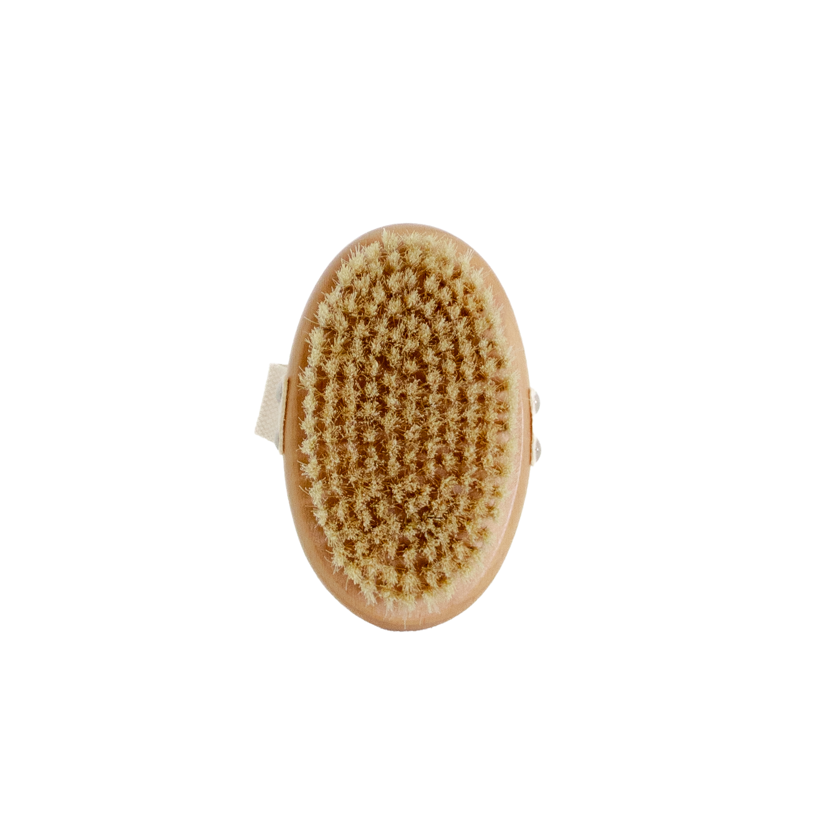 Dry Brush